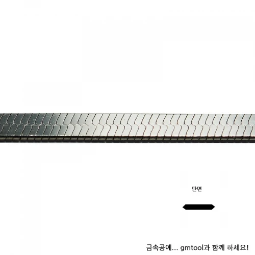 스네이크체인 참고사진